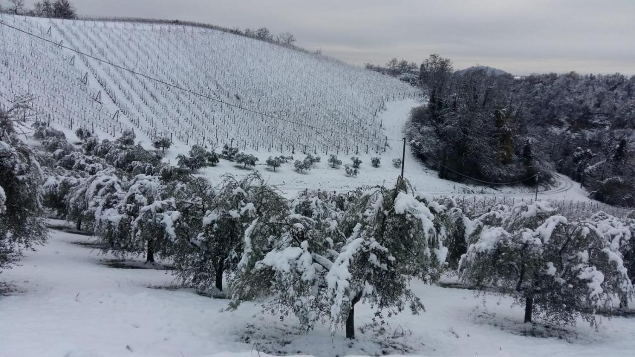 Podere Riosto Cantina&Agriturismo 皮亚诺罗 外观 照片