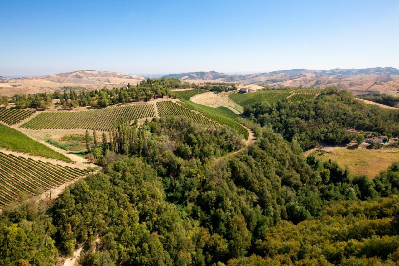 Podere Riosto Cantina&Agriturismo 皮亚诺罗 外观 照片