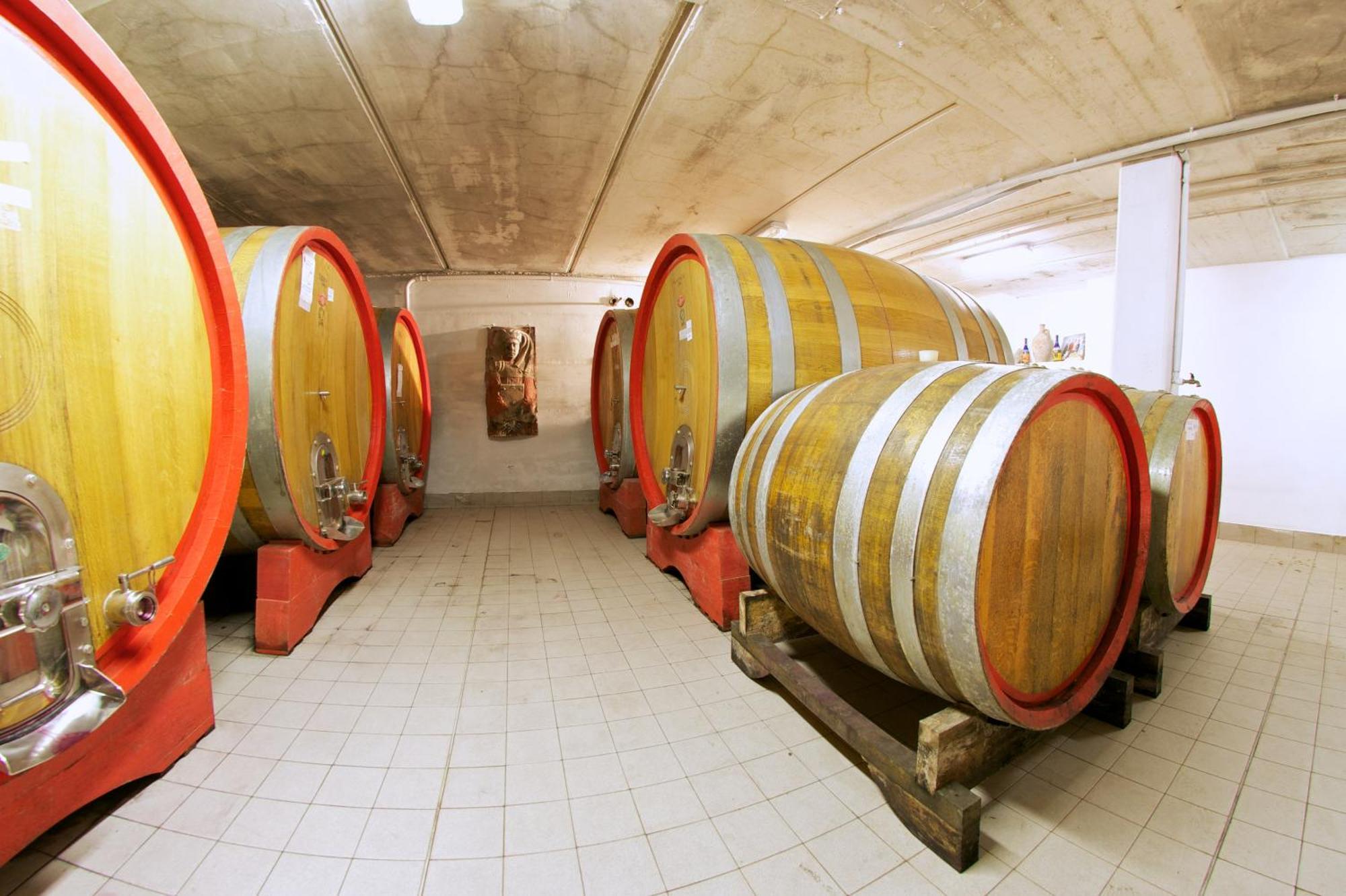 Podere Riosto Cantina&Agriturismo 皮亚诺罗 外观 照片