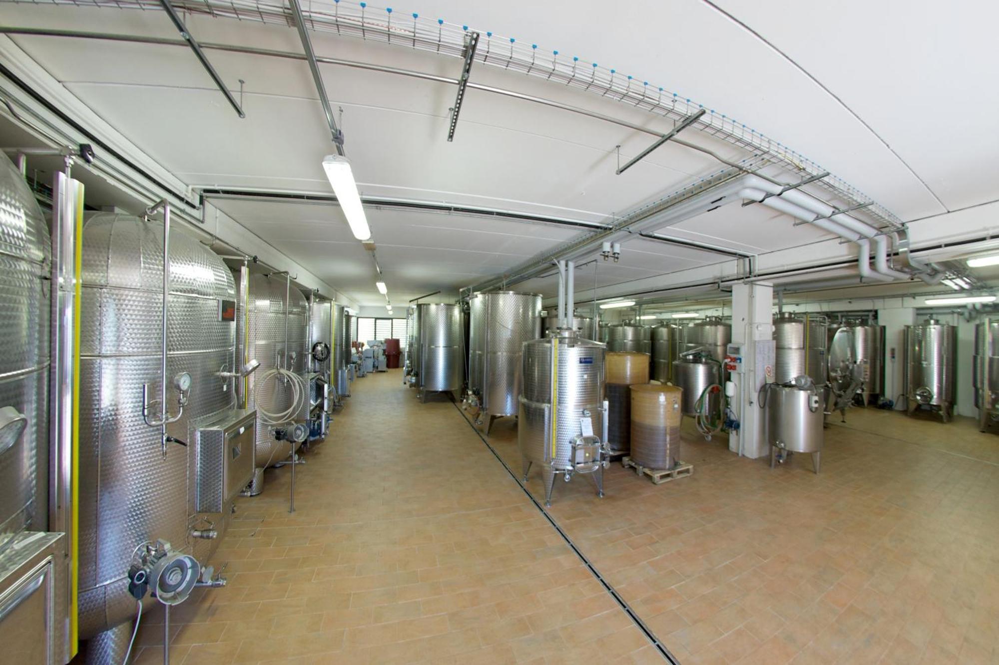 Podere Riosto Cantina&Agriturismo 皮亚诺罗 外观 照片