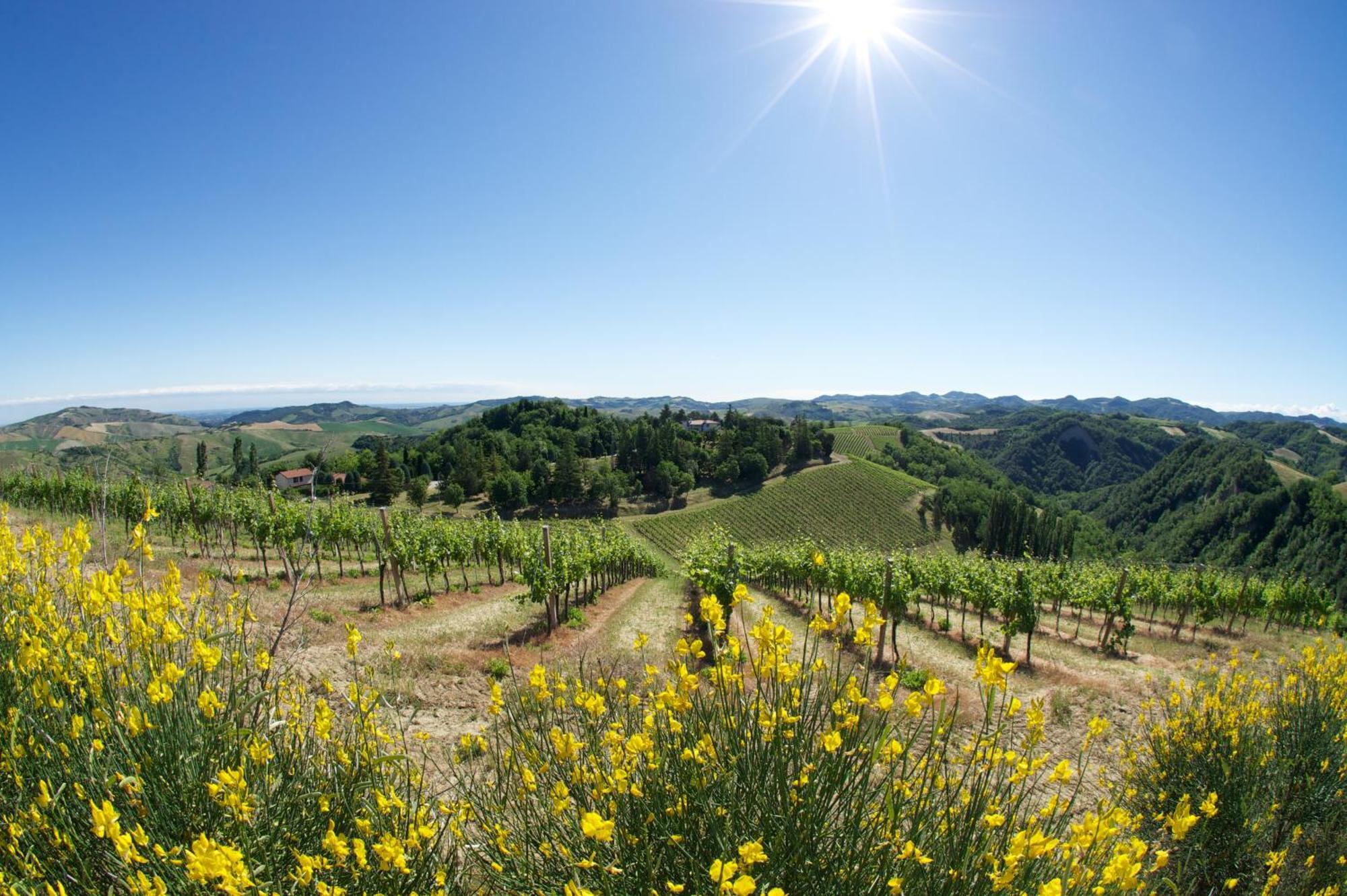 Podere Riosto Cantina&Agriturismo 皮亚诺罗 外观 照片