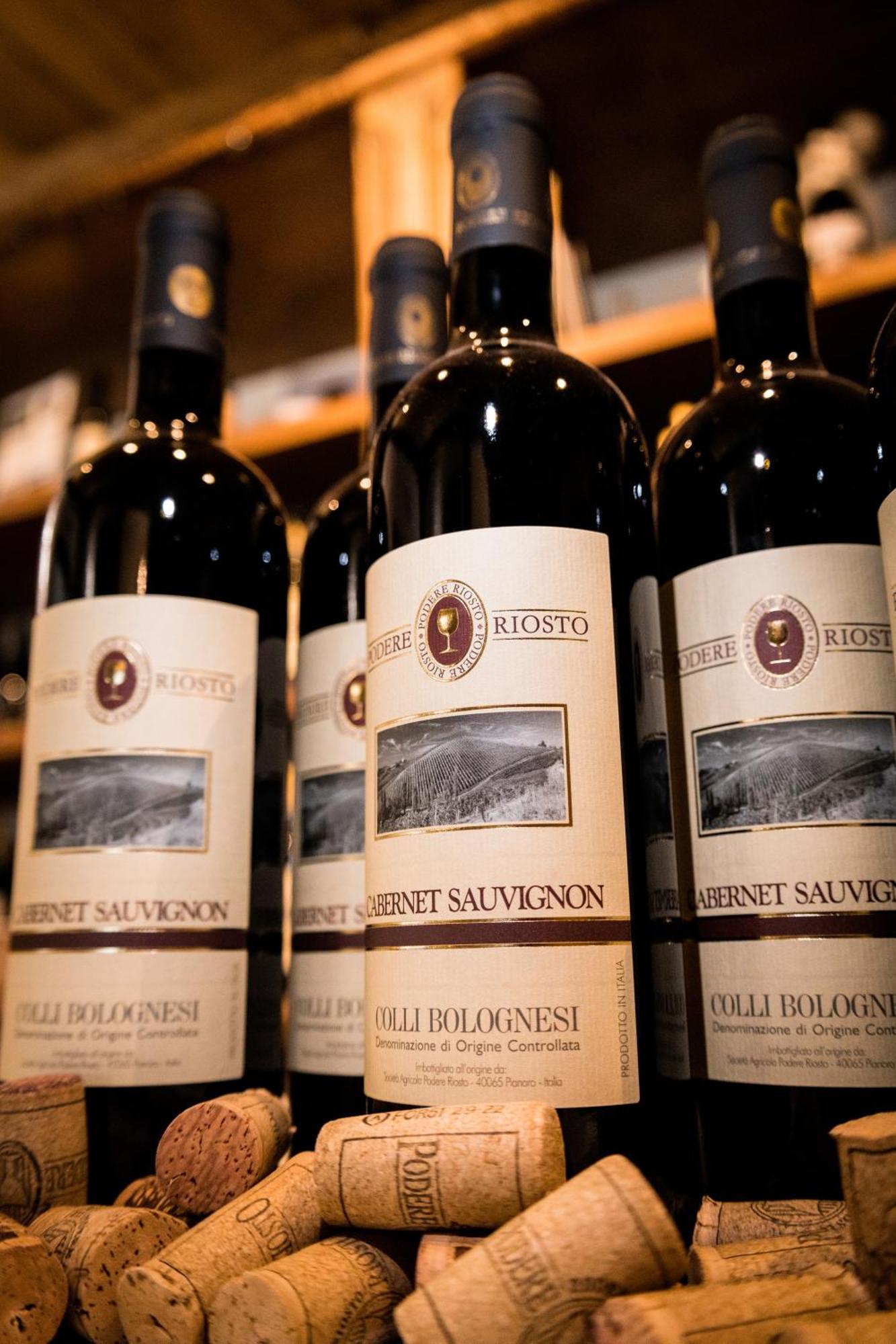 Podere Riosto Cantina&Agriturismo 皮亚诺罗 外观 照片