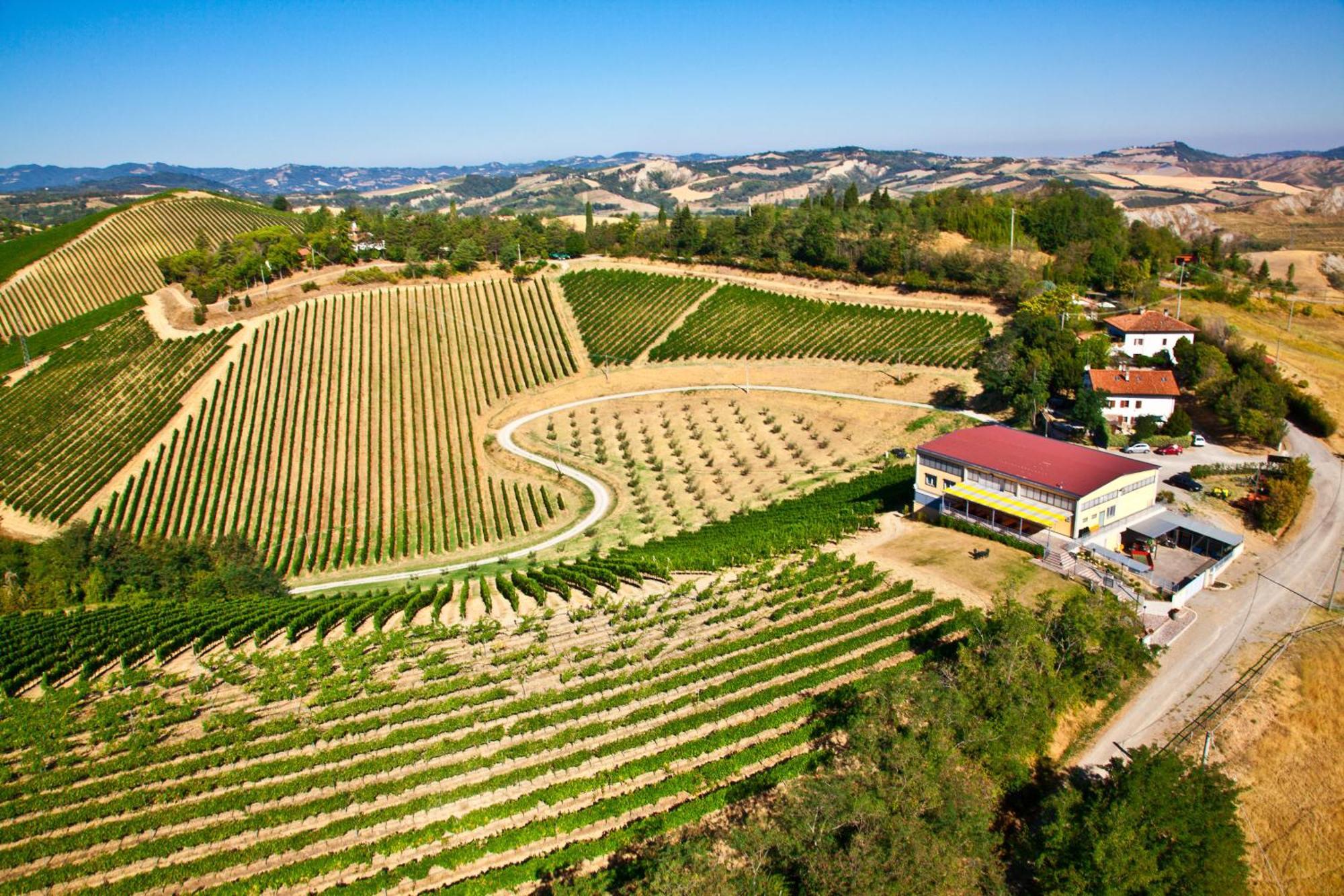 Podere Riosto Cantina&Agriturismo 皮亚诺罗 外观 照片